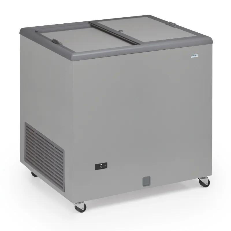 Congélateur Coffre Professionnel Aspect Inox et Couvercle Opaque - 220 L