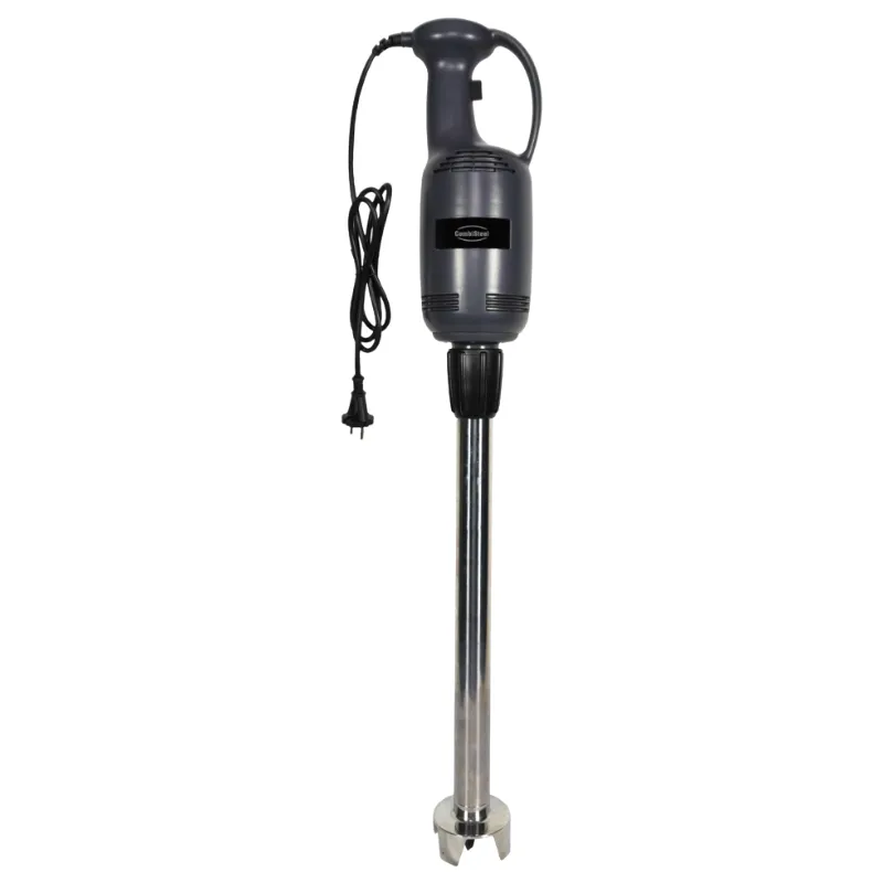 Mixeur Plongeant 650 W