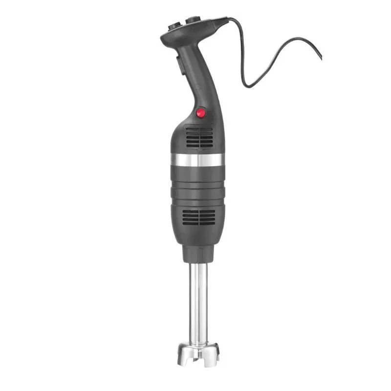 Mixeur Plongeur Pied Mélangeur de 250 mm