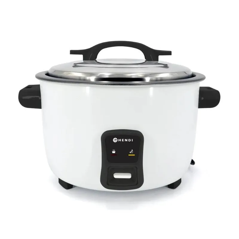 Cuiseur à Riz - 4,2 L
