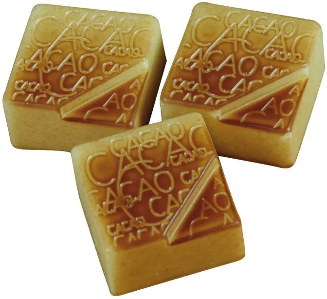 Plaque Praline Carrée Cacao en Chocolat - 24 Empreintes