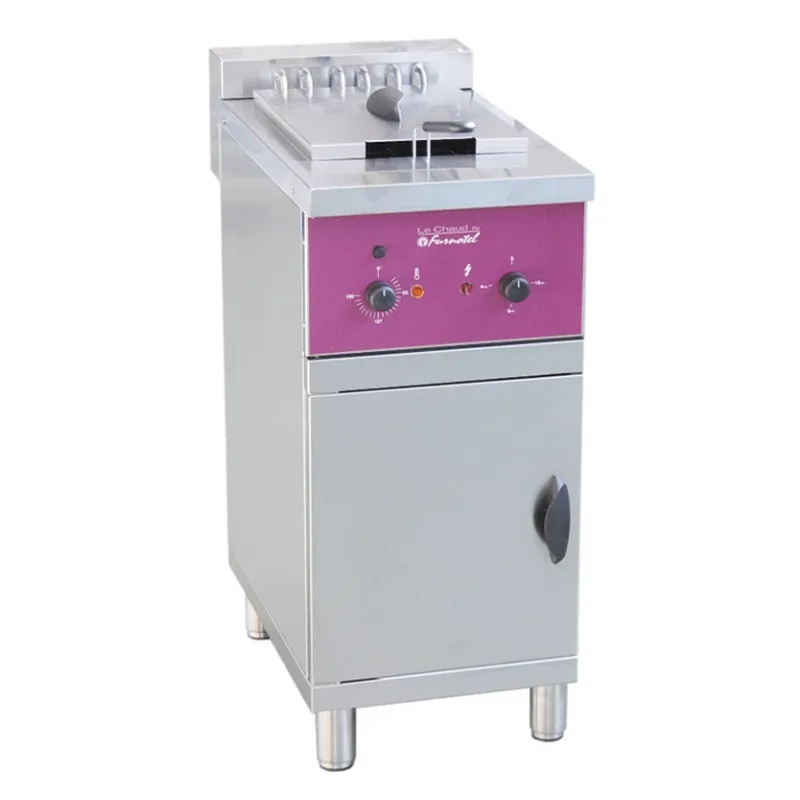 Friteuse Électrique sur Coffre - 16L