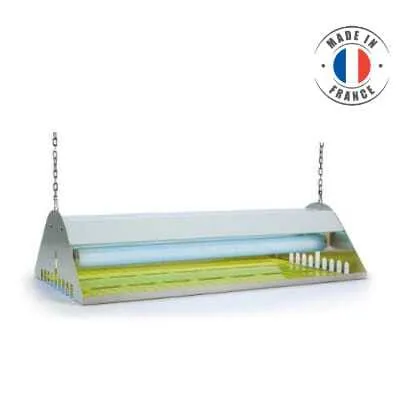 Désinsectiseur à Glue pour 240 m²