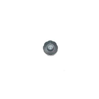 Bouton pour Grill Panini Grande Surface de Chauffe Rainurée