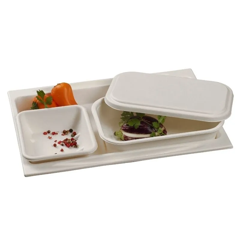 Plateau Repas en Pulpe - 273 x 194 mm - Lot de 50