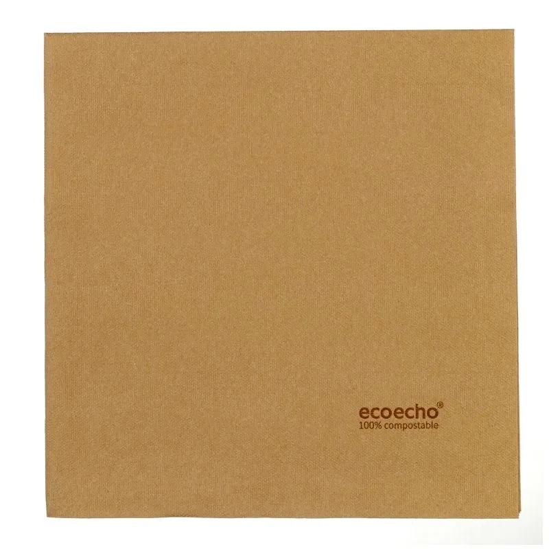 Serviette Biodégradable en Papier - 400 x 400 mm - Lot de 60