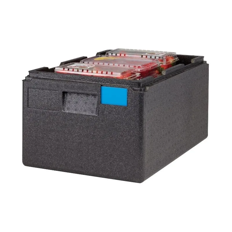 Conteneur isotherme Cam Go Box - 46 L