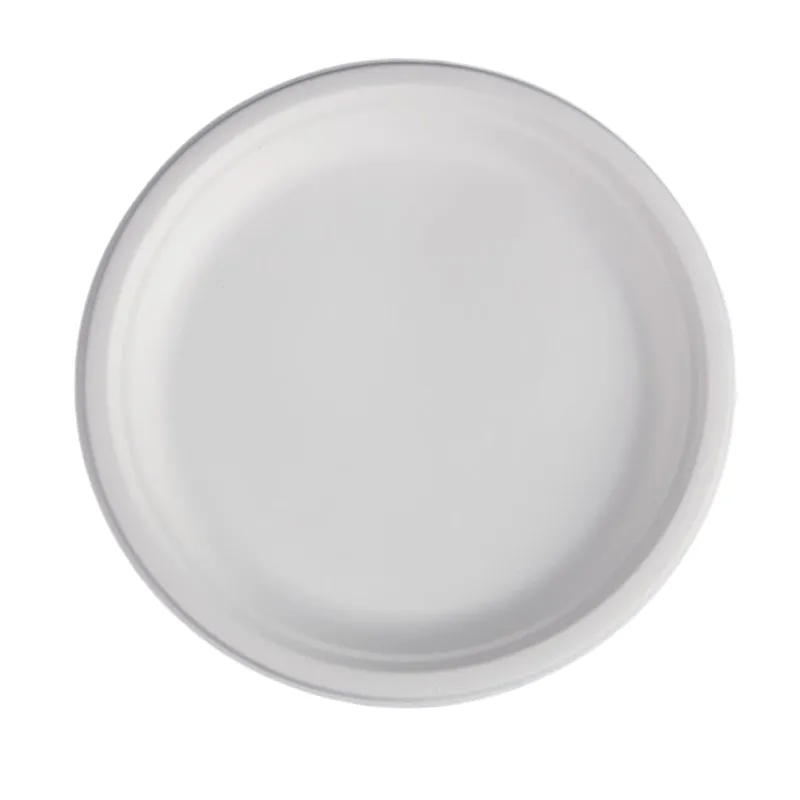 Assiettes Rondes en Bagasse - 26,1 cm - Lot de 50