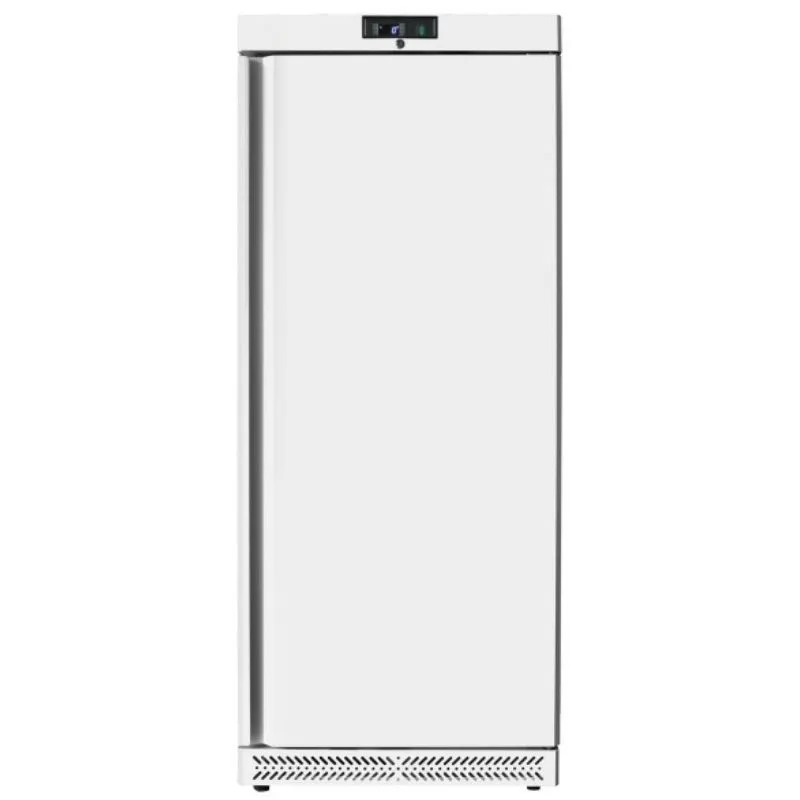Armoire Réfrigérée Positive Ventilée Blanche - Tropicalisée - 600 L