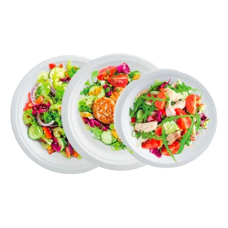 Assiette Ronde - Fibre Végétale - 230 x 20,6 mm - Lot de 50