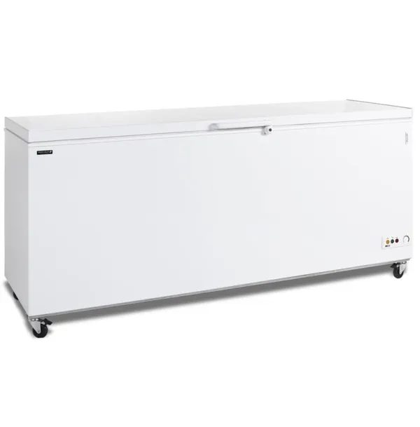 Congélateur Coffre à Glace - Blanc - 600 L
