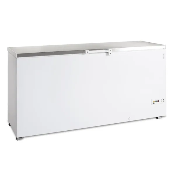 Congélateur Coffre à Glace avec Couvercle en Inox - 557 L