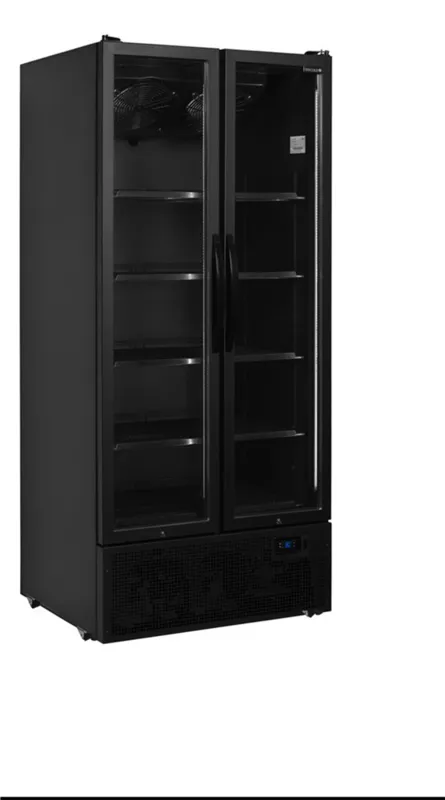 Armoire Réfrigérée Positive Noire - 2 Portes Vitrées - 535 L