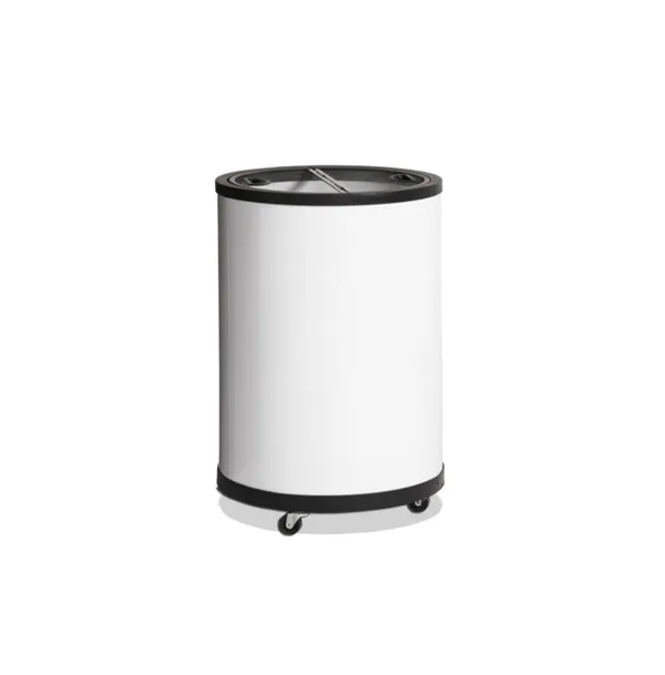 Congélateur à Glaces - Blanc - 72 L