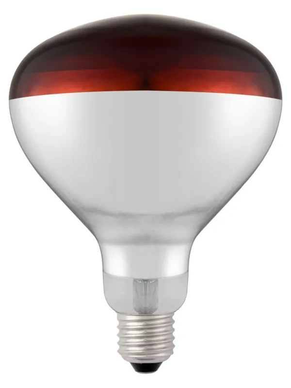 Ampoule Rouge pour Lampe Chauffante Infrarouge