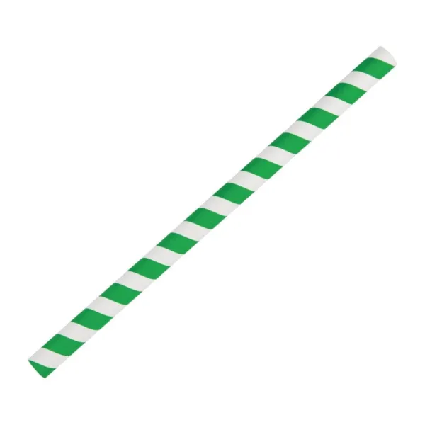 Pailles À Smoothie en Papier - Vertes - L 210mm - Lot de 250