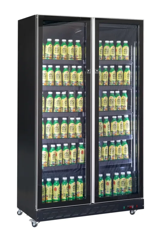 Vitrine Réfrigérée à Boissons 2 Portes Vitrées Noir 758 L