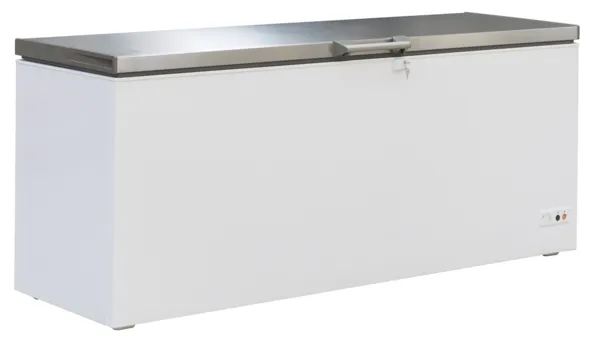 Congélateur Coffre avec Couvercle Inox - 635 L