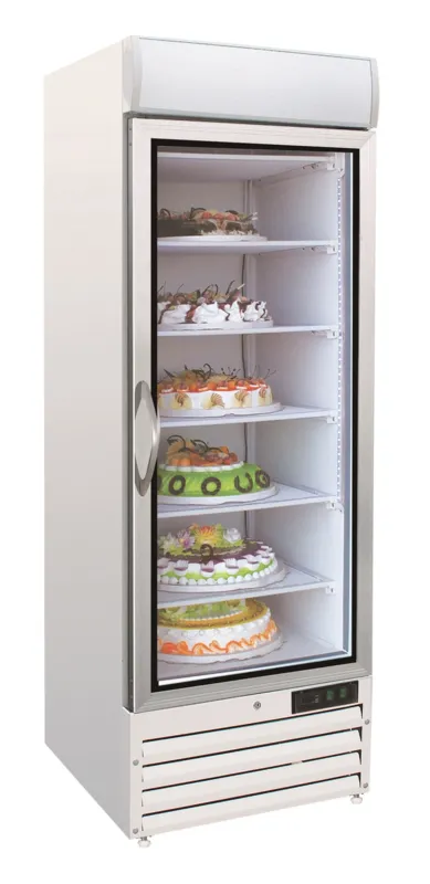 Armoire Réfrigérée Négative - 1 Porte Vitrée - 578 L