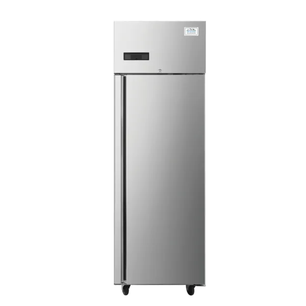 Armoire Réfrigérée Positive - GN 2/1 - 552 L