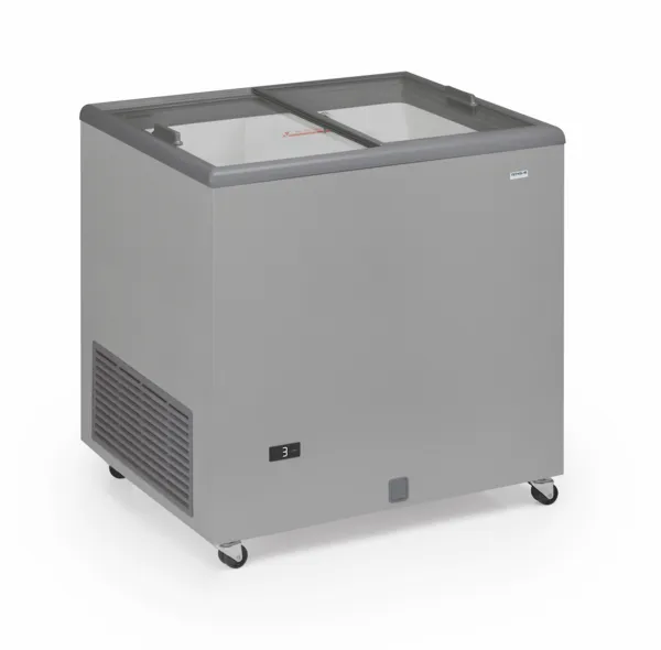 Congélateur Portes Coulissantes Vitrées - 220 L