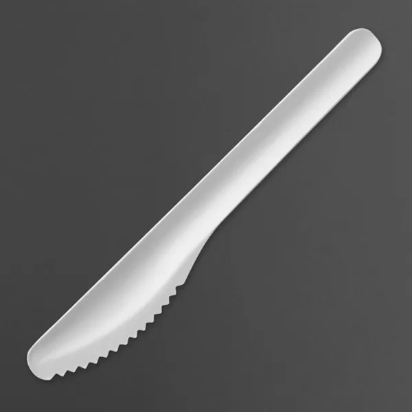 Couteaux en Papier 165 mm - Lot de 100