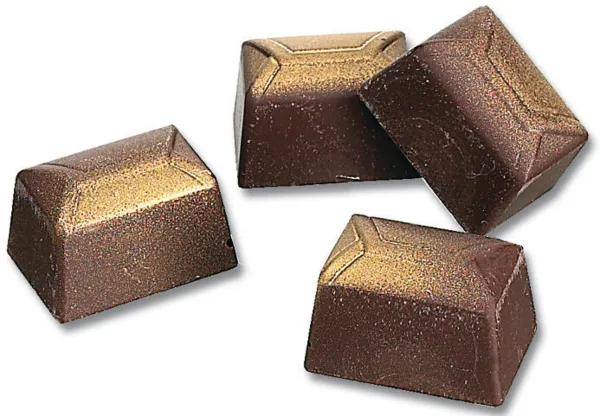 Plaque Rectangle en Chocolat - 24 Empreintes