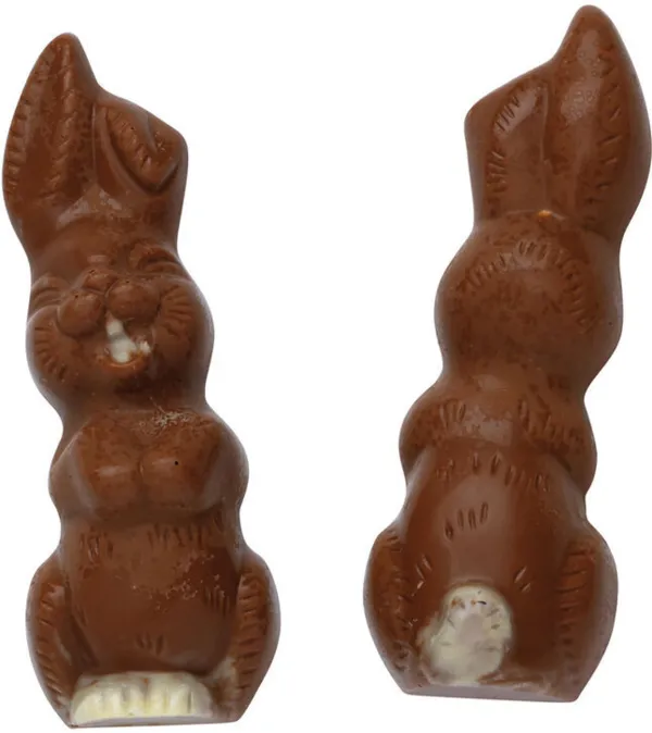 Plaque Lapin Rieur en Chocolat - 2 Empreintes