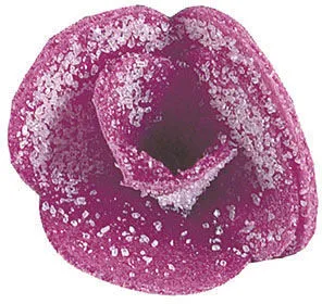 Violette Cristalisée - Lot de 100