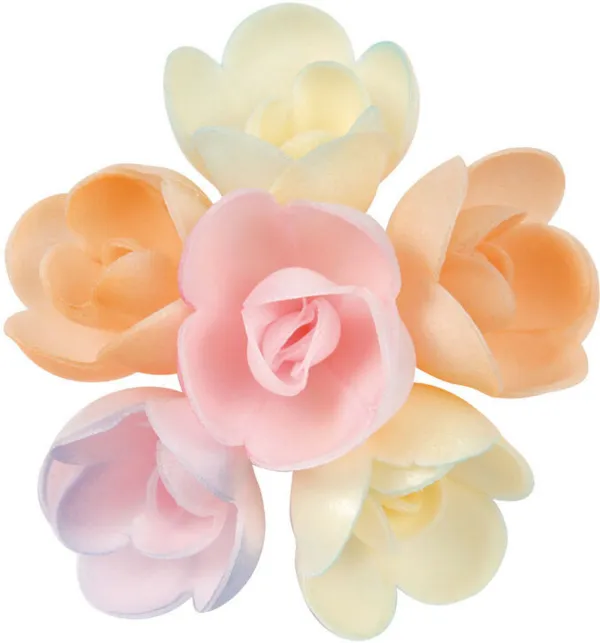 Assortiment Roses Pastel - Lot de 72