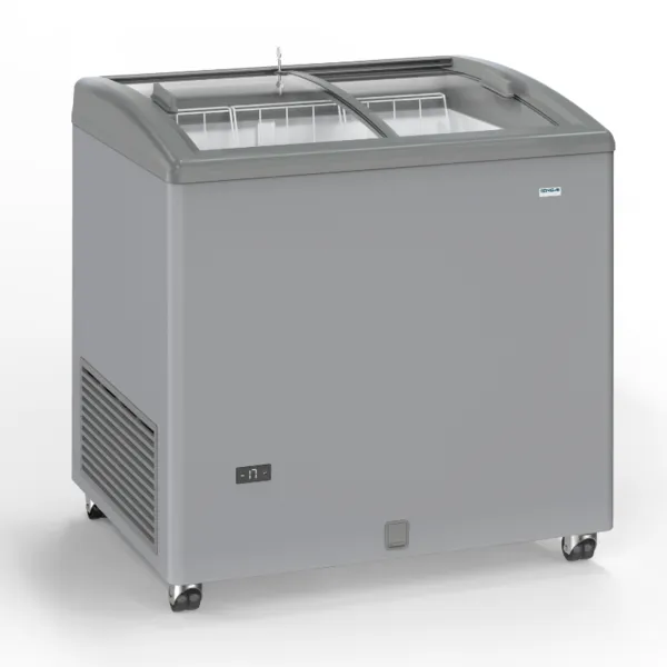 Congélateur Aspect Inox à Portes Coulissantes Vitrées - 170 L - Reconditionné