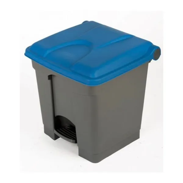 Poubelle à Pédale Grise et Bleue - 30 L