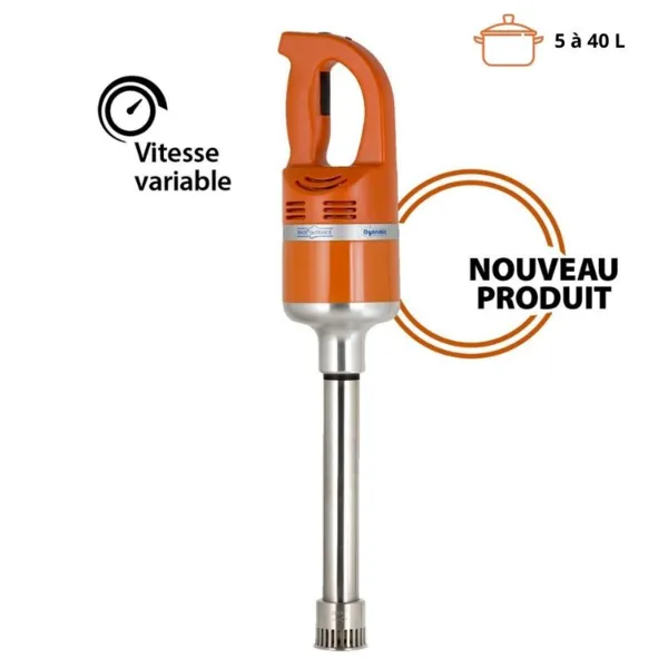 Mixeur Master DMX 300 CC Blender - Spécial Sauteuses