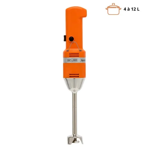 Mixeur Plongeant Mini MD95E