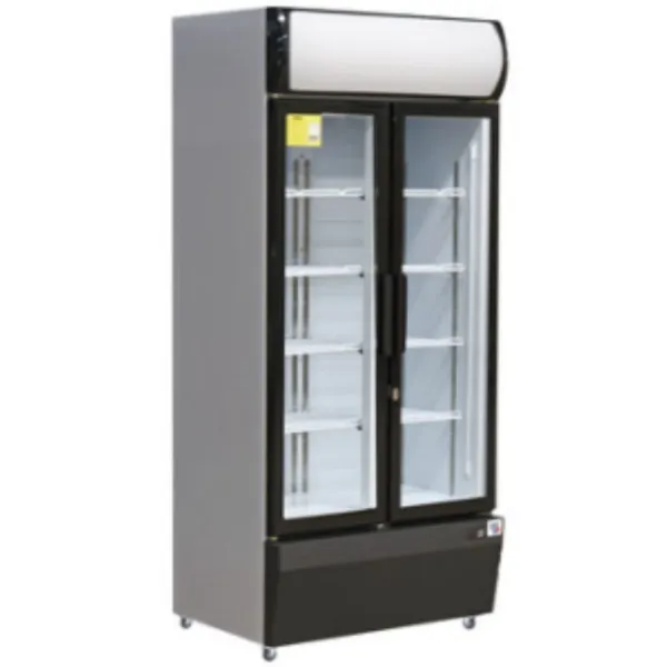 Vitrine à Boissons Réfrigérée à 2 Portes - 580 L