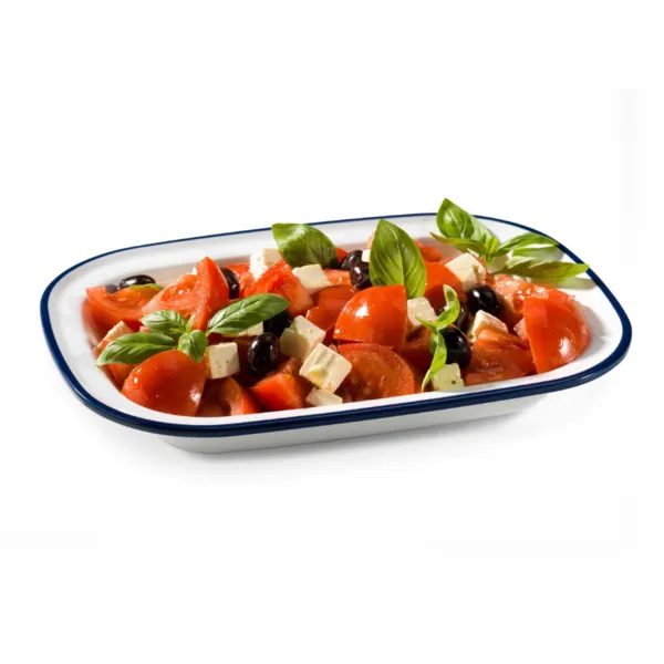 Plat Rect Mediter 20 x 14,5 cm