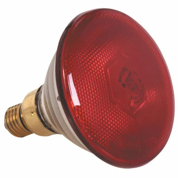 LAMPE SEULE ROUGE 250 W